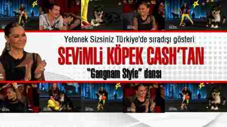 20130228_yetenek-sizsiniz-turkiye-de-sevimli-kopek-cash-ten-gangnam-style-dansi_m-624x350