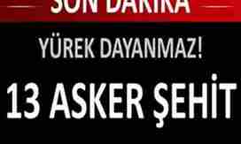 Hain Pusu..13 Şehit…İçimiz Yanıyor…