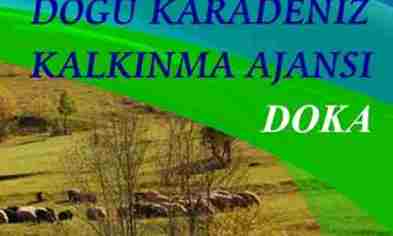 Ekrem Yüce, “DOKAP” Başkanlığına Getirildi.