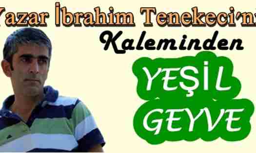 Yazar İbrahim Tenekeci’nin Kalemininden Yeşil Geyvem