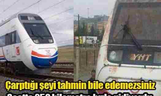Hızlı Tren Kuş Sürüsüne Çarptı