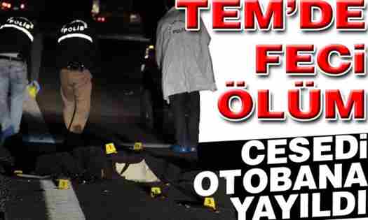 TEM’de Feci Kaza.!!!!!!Cesedi otobana yayıldı..