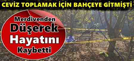 Ceviz Toplarken Merdivenden Düşerek Hayatını kaybetti