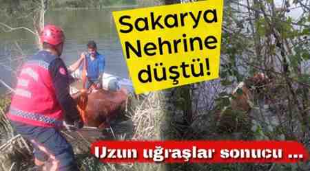 Sakarya Nehrine Düştü.İtfaiye Ekipleri Kurtardı.