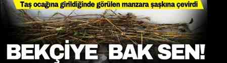 Doğançayda şantiye Bekçisi Bunlarla Yakalanddı