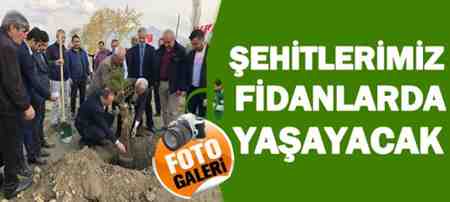 Şehitlerimiz Fidanlarda Yaşayacak…