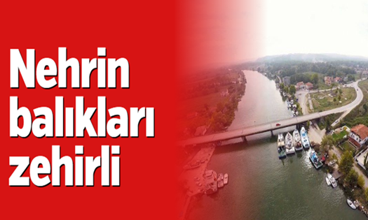 Sakarya Nehri İçin Uyarı…
