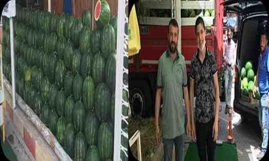 Geyve’de Karpuz Sezonu Açıldı..
