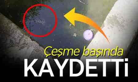 Bu fotoğrafı vatandaş köy çeşmesinde çekti..