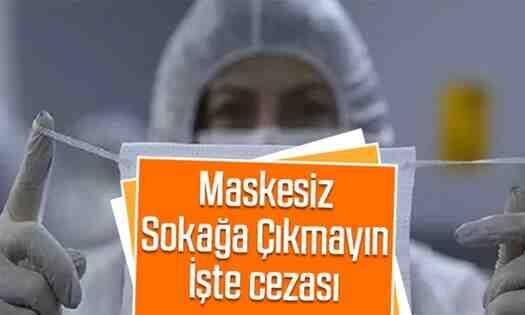 Maskesiz Sokağa Çıkmanın Cezası !!