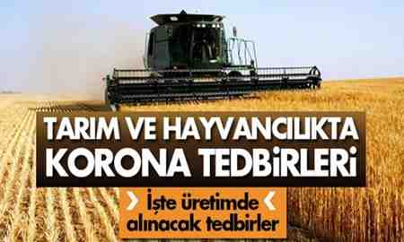 Tarım ve Hayvancılıkta Korona Tedbirleri !