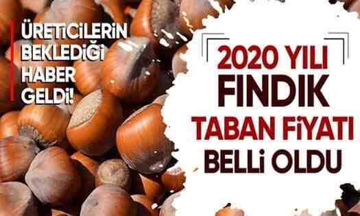 2020 yılı fındık taban fiyatı belli oldu!