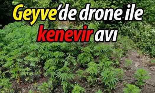 Kenevir yetiştiriyordu fotokapana yakalandı!