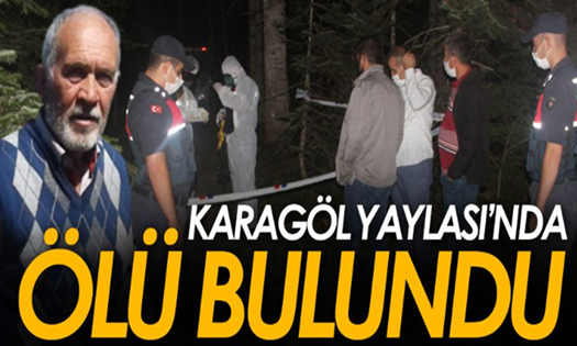 Karagöl Yaylasında Ölü Bulundu..