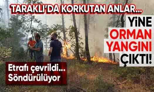 Taraklı’da Yine Orman Yangını Çıktı!