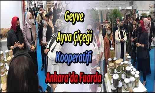 Geyve Ayva Çiçeği Kadın Kooperatifi Ankara’da Fuarda!