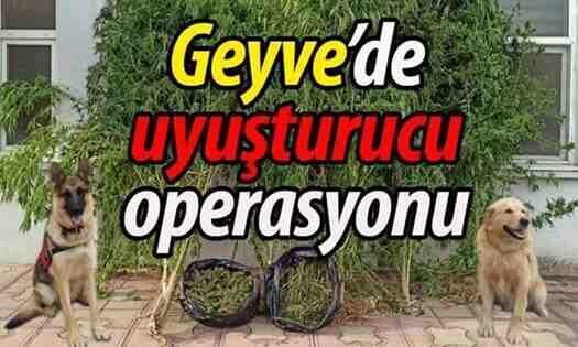 Geyve’de uyuşturucu operasyonu!