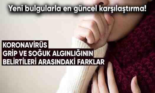Yeni bulgularla en güncel karşılaştırma!