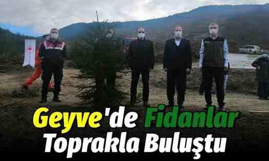 Geyve’de Fidanlar Toprakla Buluştu..