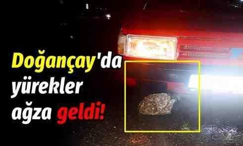 Doğançay’da yürekler ağza geldi!