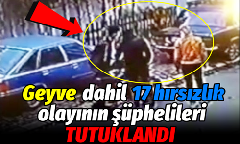 Geyve ve Sakarya’da 17 hırsızlık olayının şüphelileri tutuklandı!