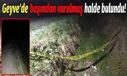 Geyve’de başından vurulmuş halde erkek cesedi bulundu!