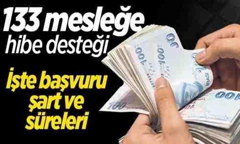 133 mesleğe hibe desteği!