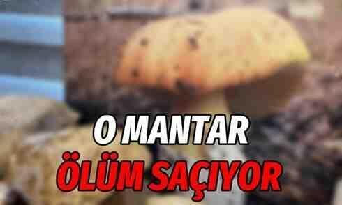 O mantar ölüm saçıyor