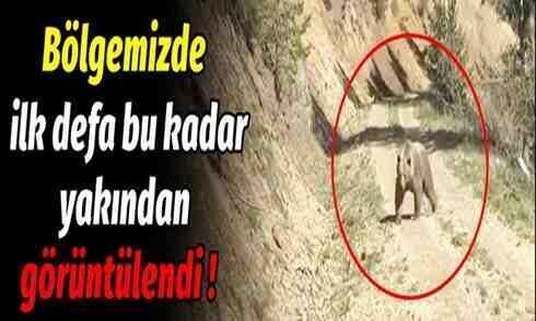 İlk defa bu kadar yakından görüntülendi