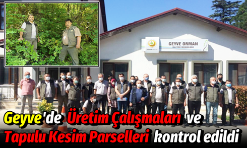Geyve’de Üretim Çalışmaları ve Tapulu Kesim Parselleri Kontrol Edildi