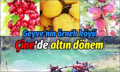 Geyve’nin örnek köyü Çine’de altın dönem
