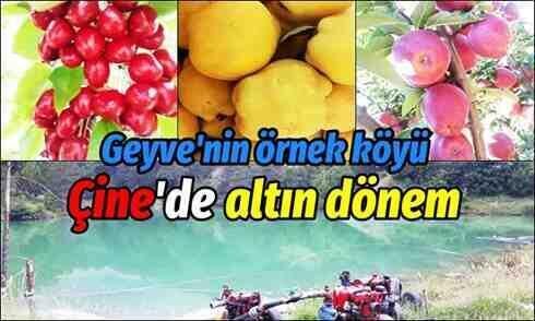 Geyve’nin örnek köyü Çine’de altın dönem