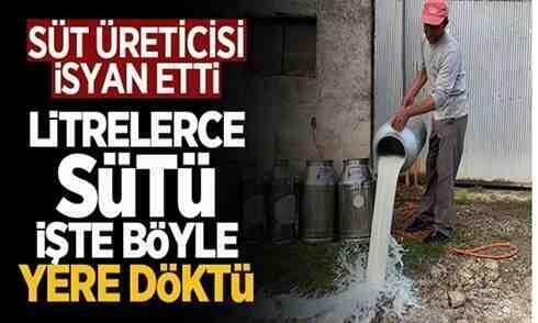 Süt üreticisi isyan etti! Litrelerce sütü yer döktü