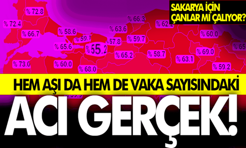 İşte acı gerçek! Sakarya aşıda sonuncu vakada birinci
