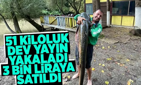 Oltasına 51 kiloluk yayın balığı takıldı
