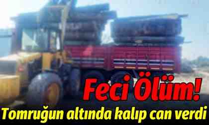 Feci Ölüm! Tomruğun altında kalıp can verdi