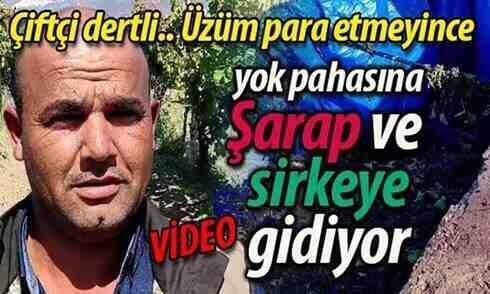 Üretici dertli.. Üzüm para etmeyince şarap ve sirkeye gidiyor