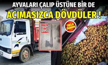 2 ton ayvasını çalıp üstüne bir de acımasızca dövdüler!