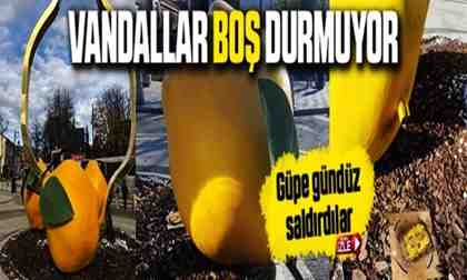 Geyve Ayva Heykeline saldırı..