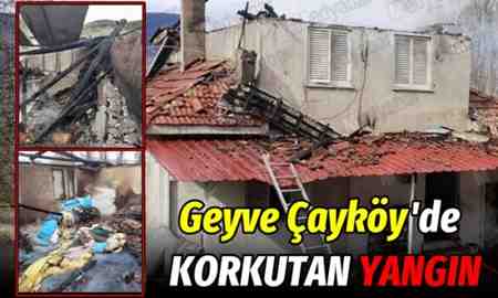 Geyve Çayköy’de korkutan yangın