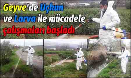 Geyve’de Uçkun ve Larva ile Mücadele Çalışmaları Başladı.