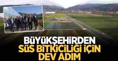 Büyükşehir’den Peyzaj ve Süs Bitkiciliği’ne büyük hamle