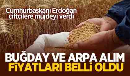 TMO’nun buğday ve arpa alım fiyatları belli oldu