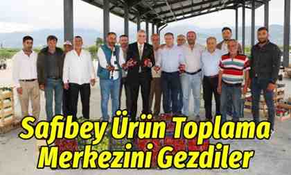 Yüce, Safibey Ürün Toplama Merkezi’ni ziyaret etti