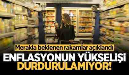 Yükseliş durdurulamıyor! Enflasyon rakamları açıklandı