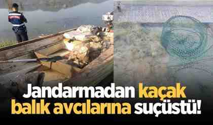 Jandarmadan Sakarya Nehrinde kaçak balık avcılarına suçüstü!