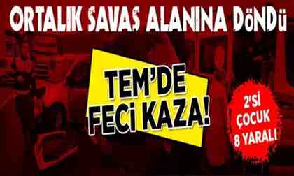 TEM’de feci kaza! 2’si çocuk 8 yaralı