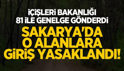 İçişleri açıkladı: Sakarya’da ormanlara giriş yasağı!