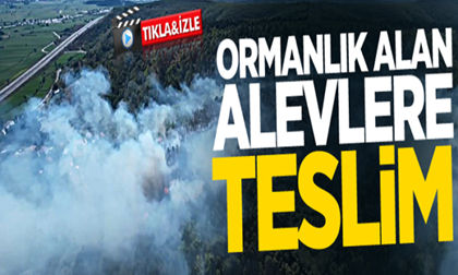 Korkutan orman yangını!