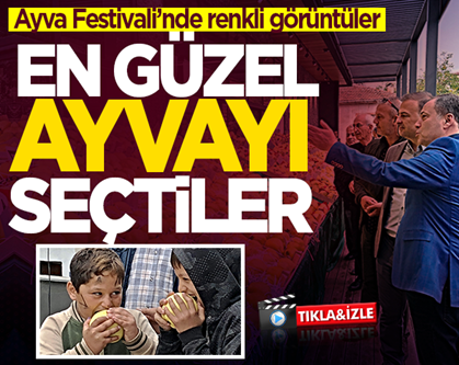 Geyve’de en güzel ayva belli oldu